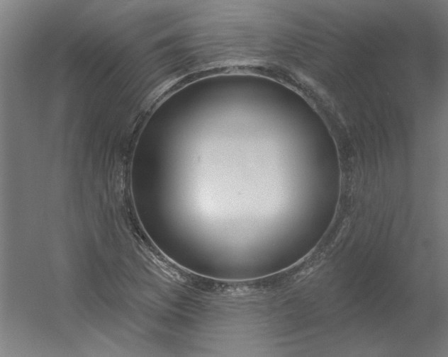 X0000054401169200508121651