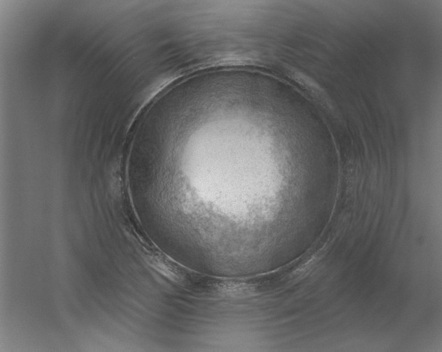 X0000054401170200508121651