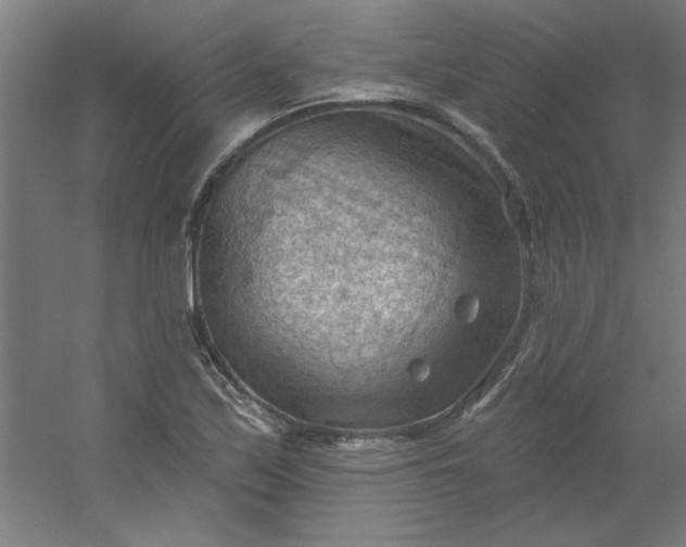 X0000054401171200508121651