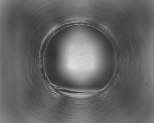 X0000054401172200508121651