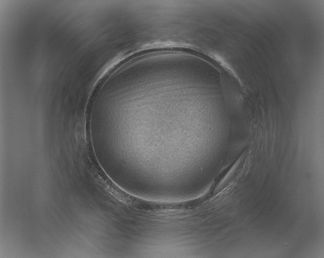 X0000054401173200508121651