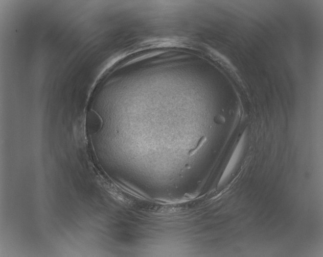 X0000054401174200508121651