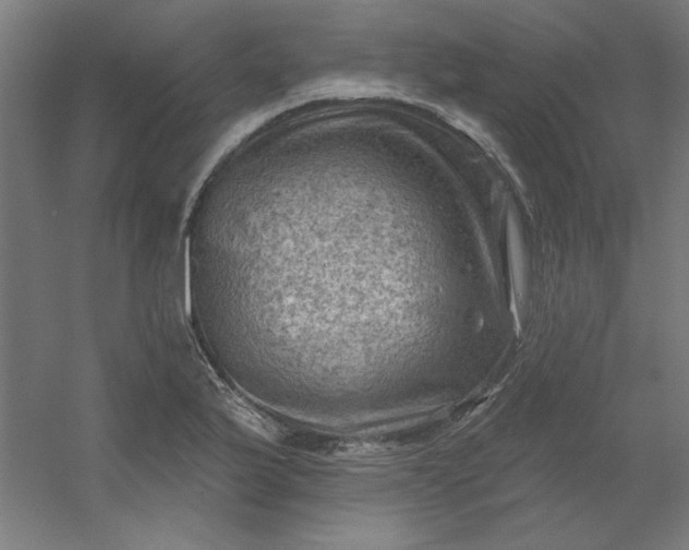 X0000054401175200508121651