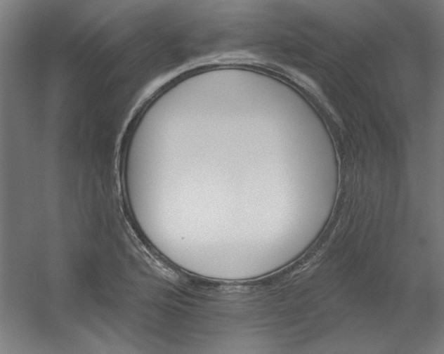 X0000054401176200508121651