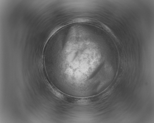 X0000054401178200508121651