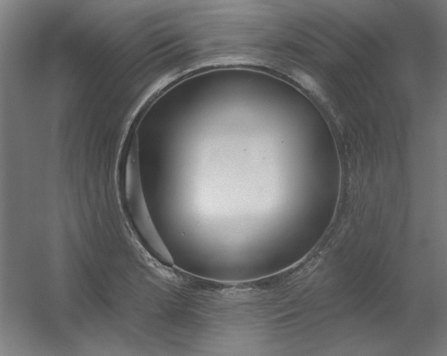 X0000054401181200508121651