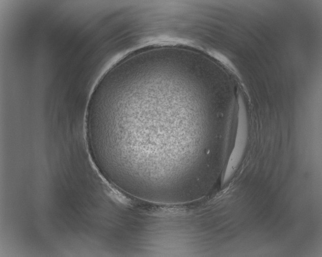 X0000054401183200508121651