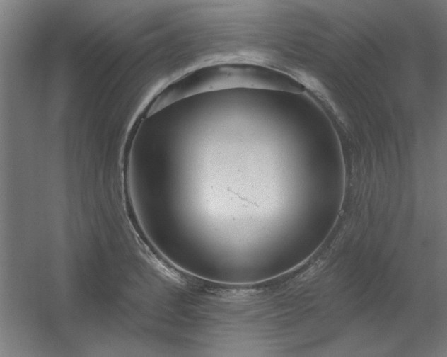 X0000054401184200508121651