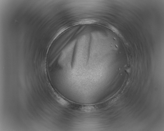 X0000054401186200508121651