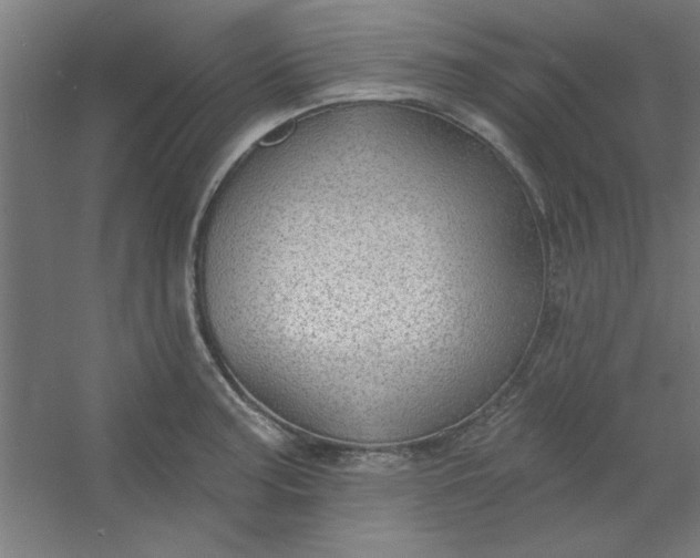 X0000054401187200508121651