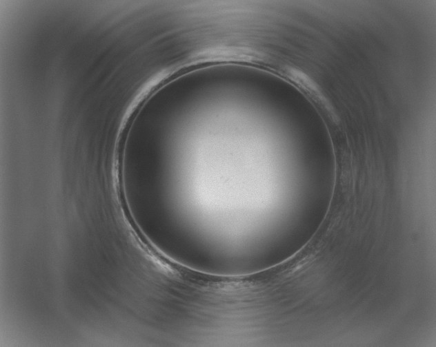 X0000054401188200508121651