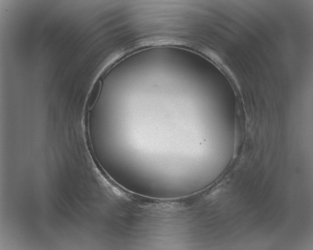 X0000054401189200508121651