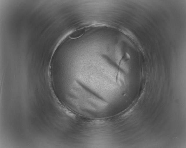 X0000054401190200508121651