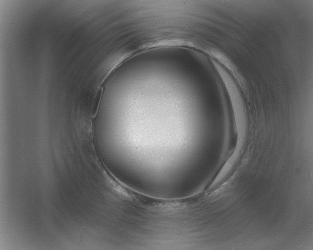 X0000054401193200508121651