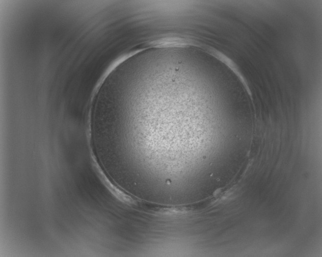 X0000054401195200508121651