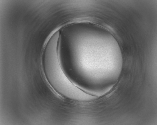 X0000054401196200508121651