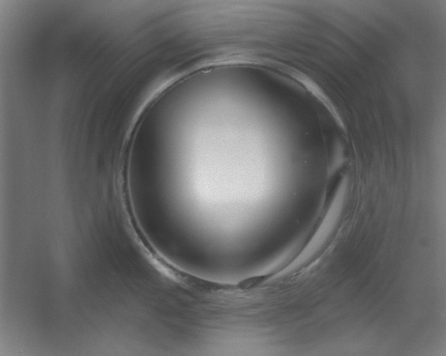 X0000054401197200508121651