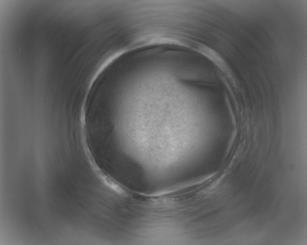 X0000054401198200508121651