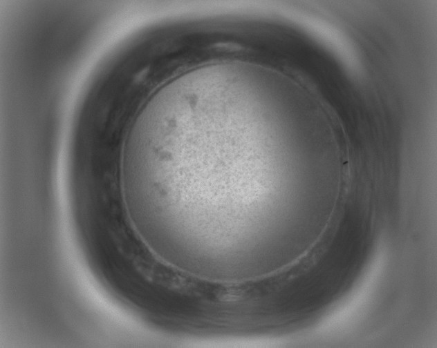 X0000054401199200508121651