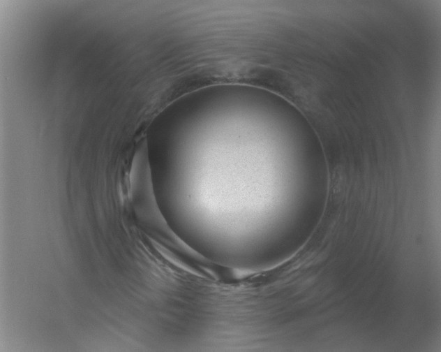 X0000054401202200508121650