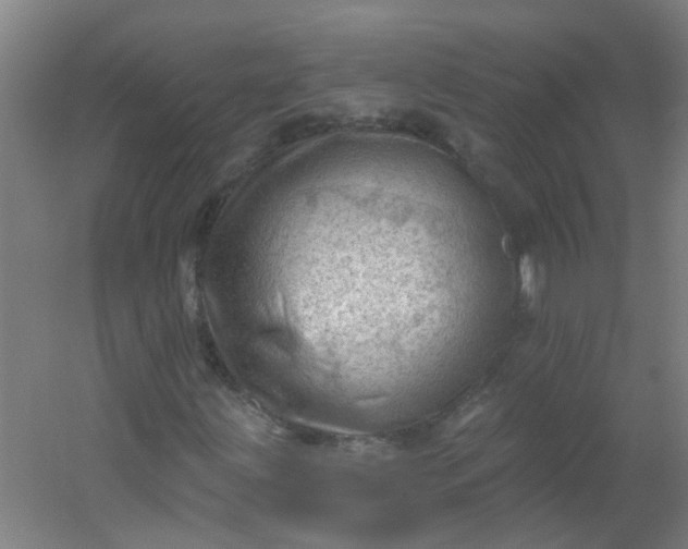 X0000054401203200508121650