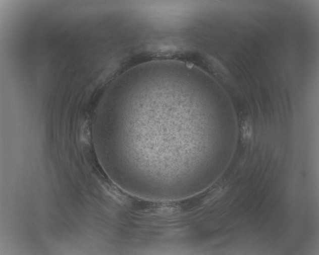 X0000054401204200508121650