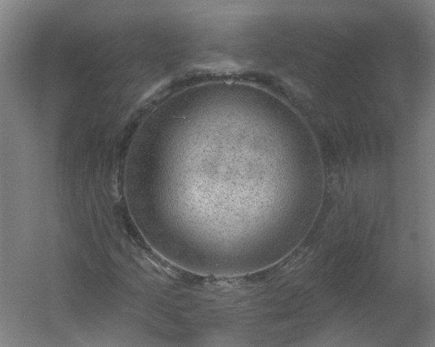 X0000054401205200508121650