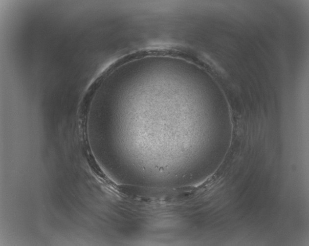 X0000054401208200508121650