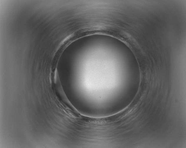 X0000054401210200508121650