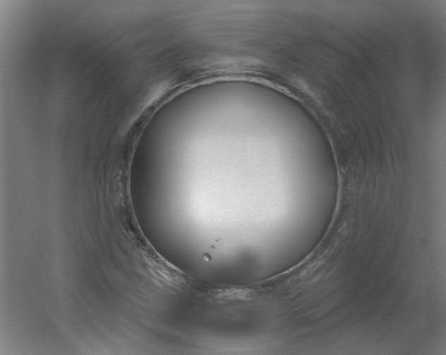 X0000054401211200508121650