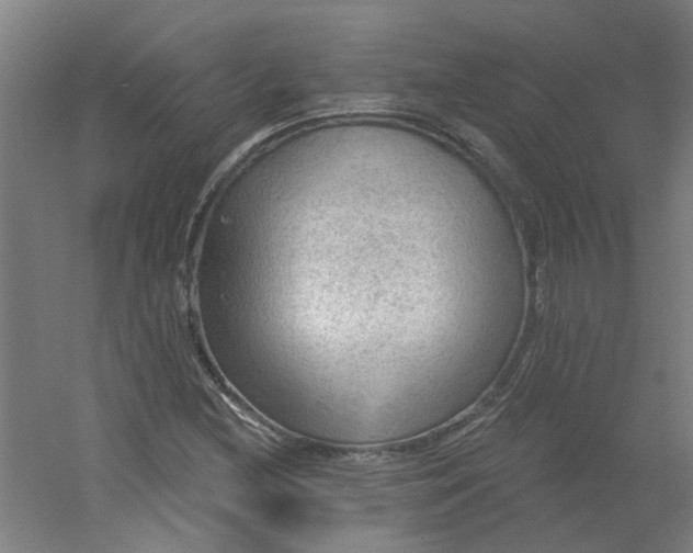 X0000054401212200508121650