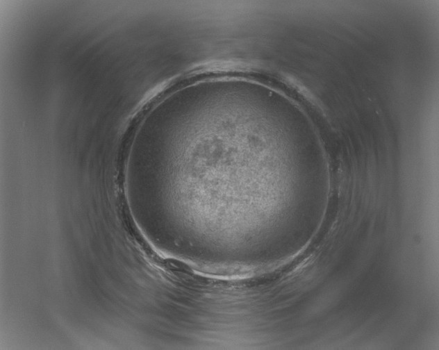 X0000054401213200508121650