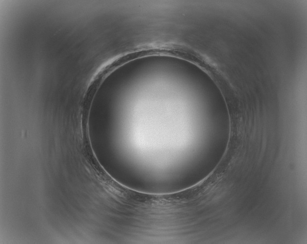 X0000054401214200508121650