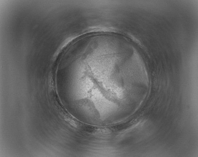 X0000054401215200508121650