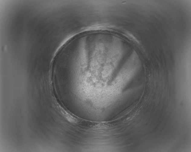 X0000054401216200508121650