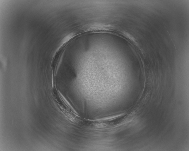 X0000054401219200508121650