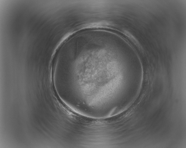 X0000054401224200508121650