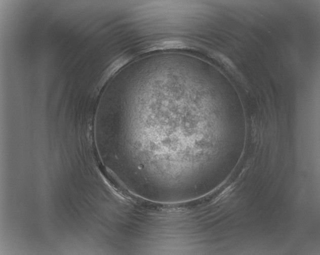 X0000054401225200508121650