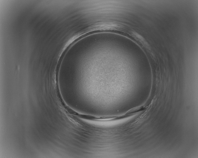 X0000054401226200508121650