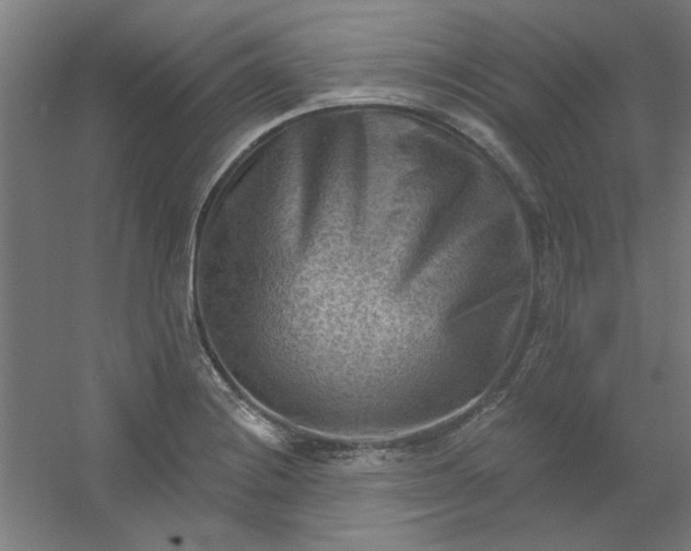 X0000054401228200508121650