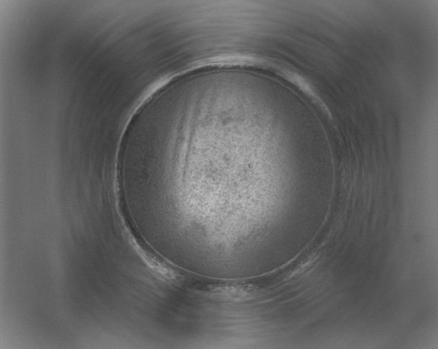 X0000054401229200508121650