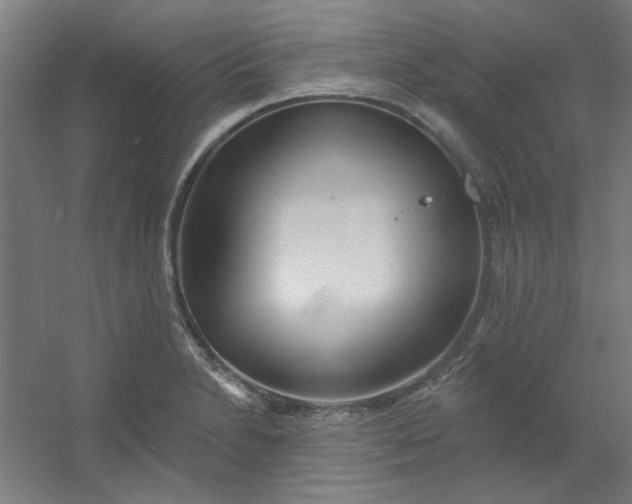 X0000054401230200508121650