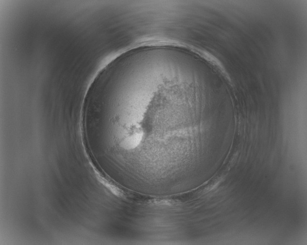 X0000054401231200508121650