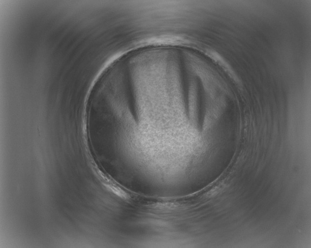 X0000054401232200508121650