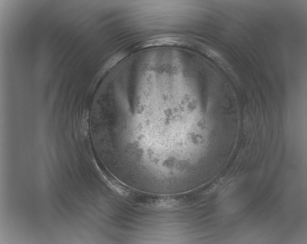 X0000054401233200508121650