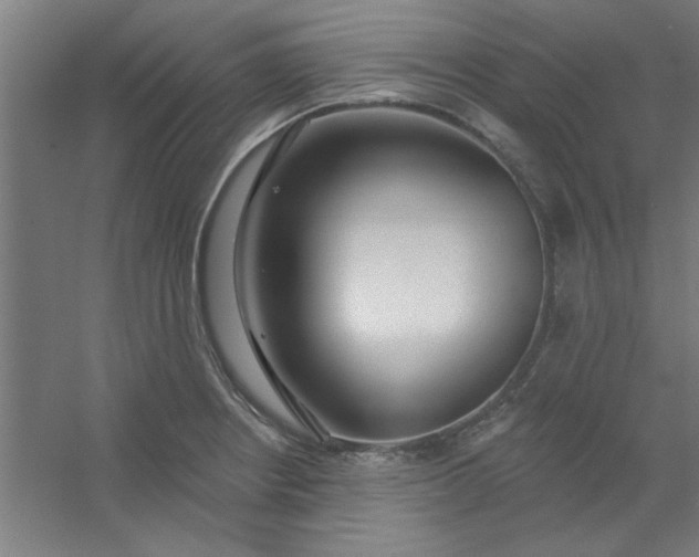 X0000054401234200508121650