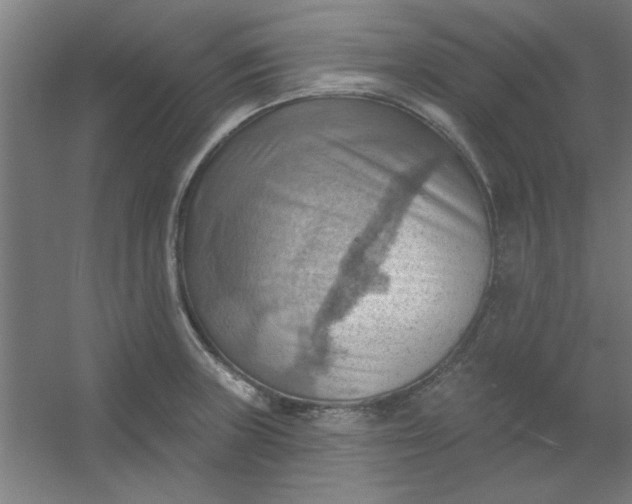 X0000054401235200508121650