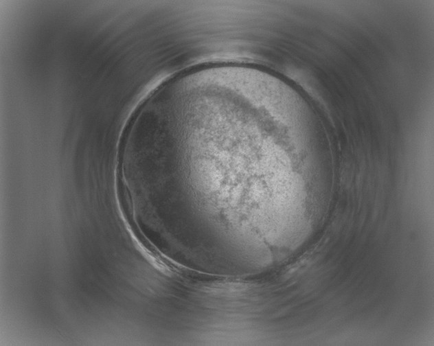 X0000054401237200508121650