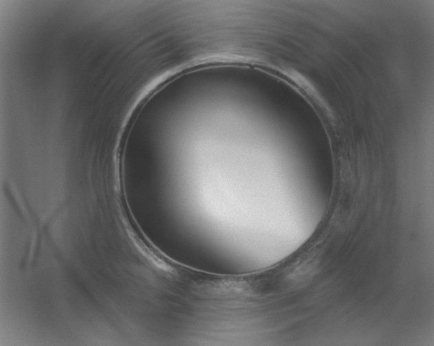 X0000054401238200508121650