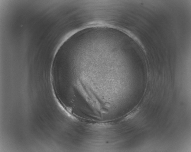 X0000054401239200508121650